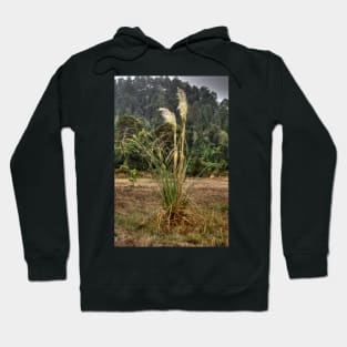 lli foxtail Hoodie